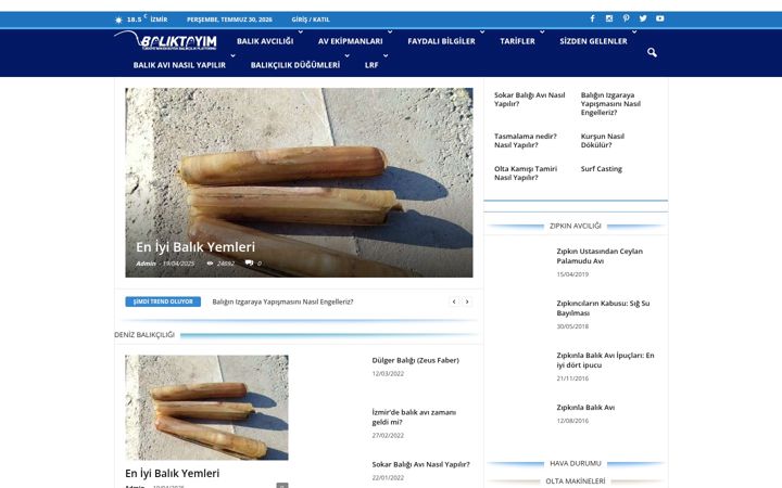 Screenshot of baliktayim.com