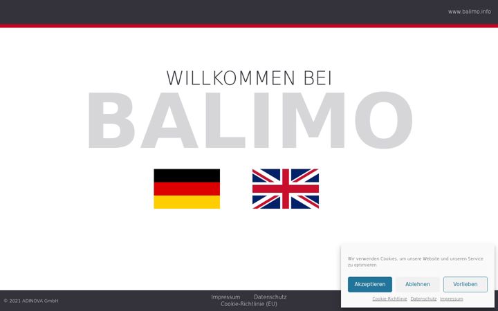 Screenshot of balimo-manual.info