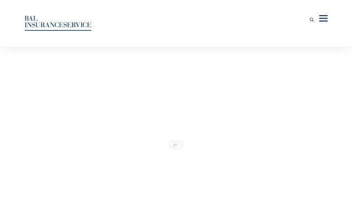 Snímek obrazovky balinsuranceservice.de
