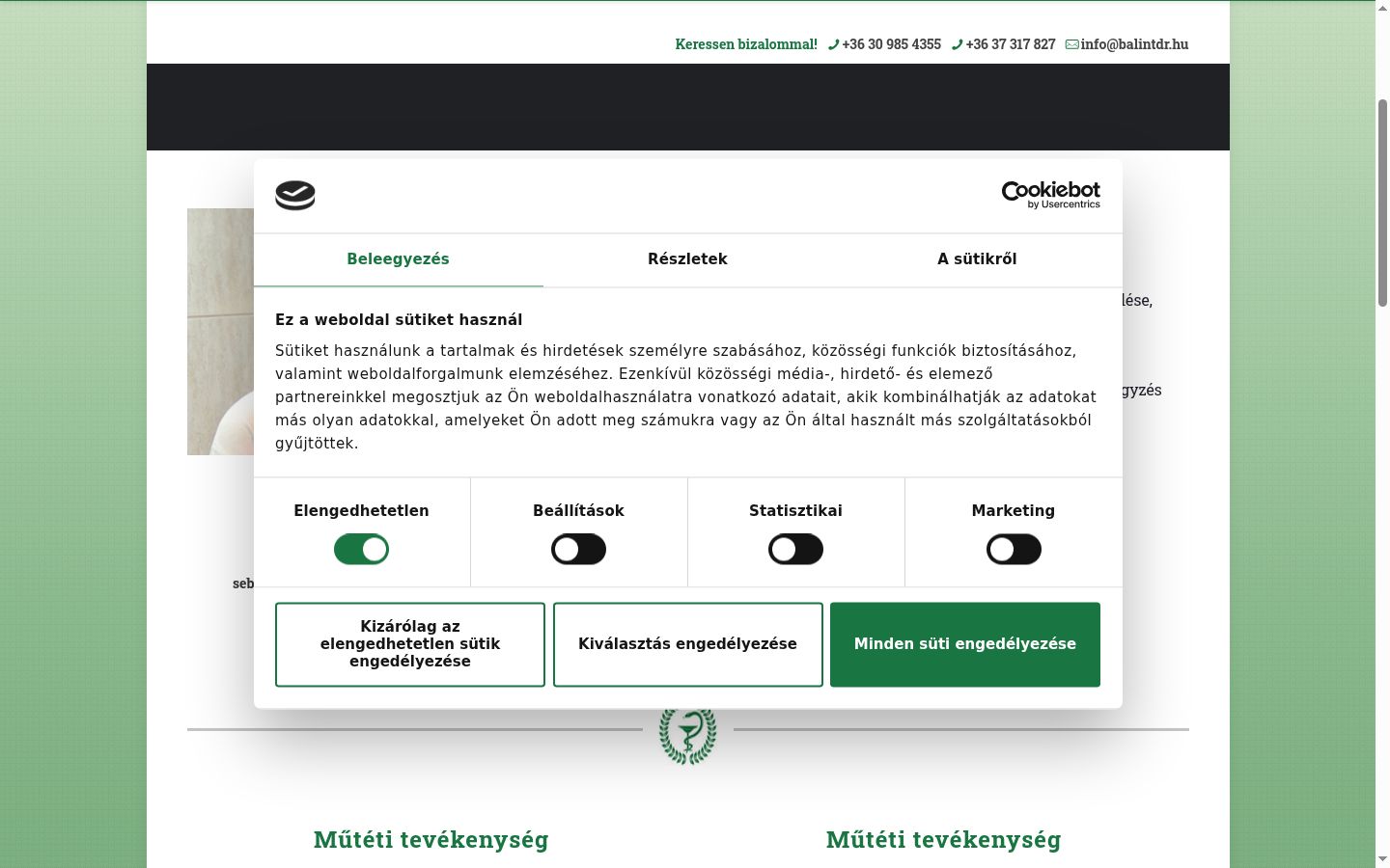 Skærmbillede af samtykkebanneret, som det blev vist før nogen interaktion