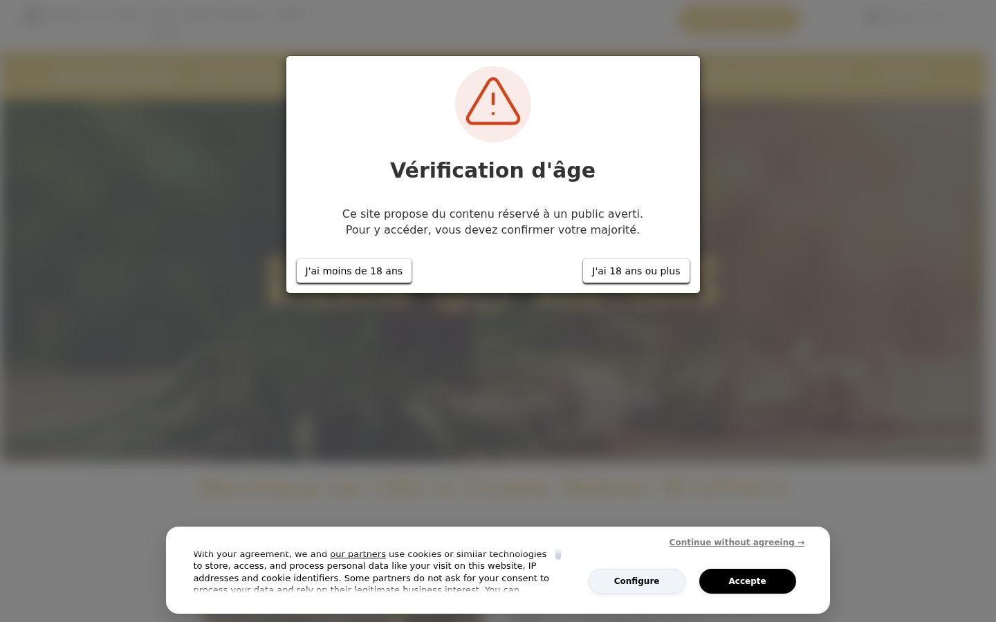 Screenshot des Einwilligungsbanners vor jeglicher Interaktion