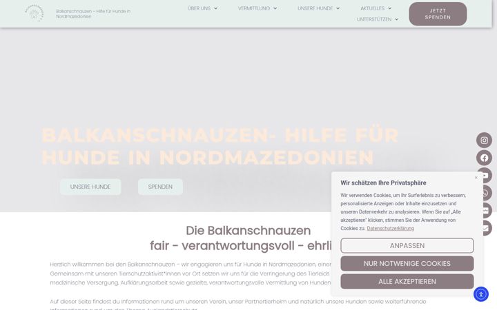 Skjermbilde av balkanschnauzen.de