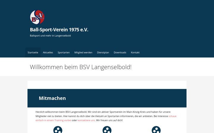 Skjermbilde av ball-sport-verein.de