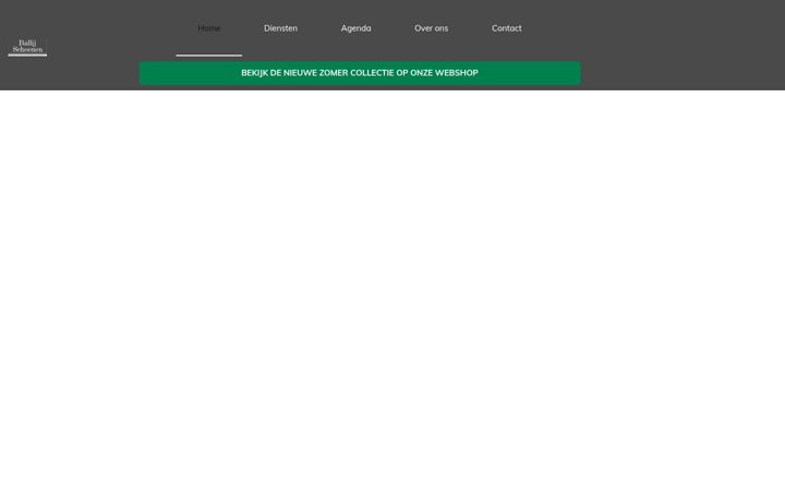 Screenshot of ballijschoenen.nl