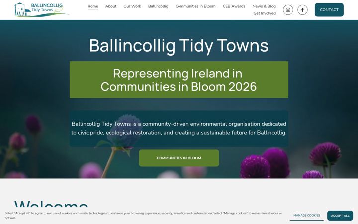 Captură de ecran a ballincolligtidytowns.ie