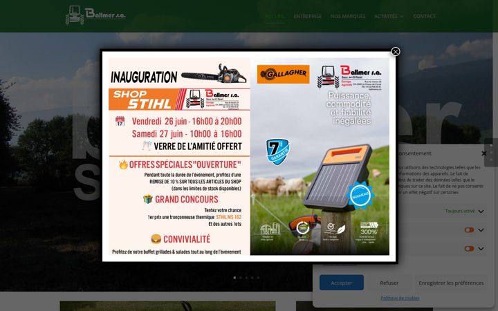 Screenshot of ballmersa.ch