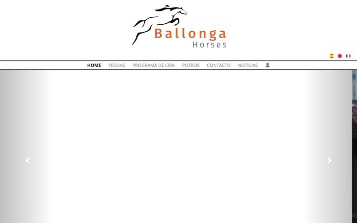 Screenshot of ballongahorses.com