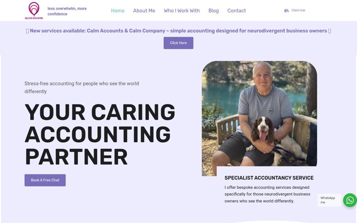 Screenshot of balloonaccounting.co.uk