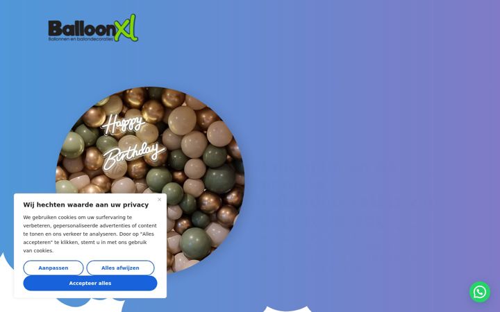 Capture d'écran de balloonxl.nl