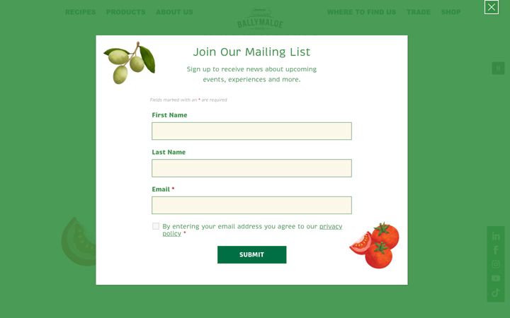 Skjermbilde av ballymaloefoods.ie