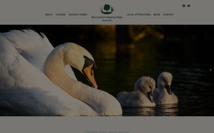 Screenshot of ballynesscaravanpark.com