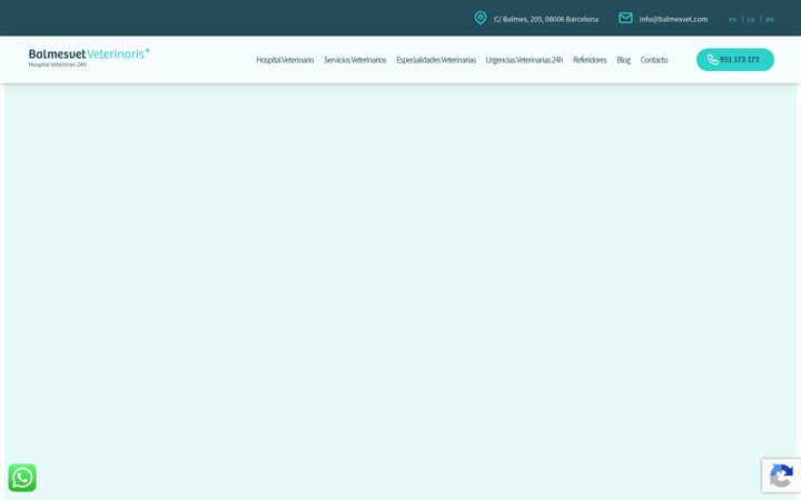 Screenshot of balmesvet.com