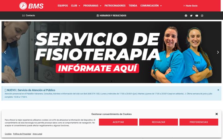 Screenshot of balonmanosanse.es