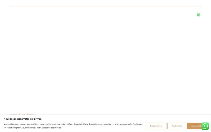 Screenshot of balqis-france.com