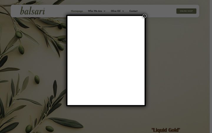 Screenshot of balsari.com