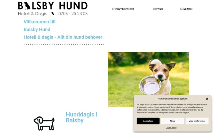Screenshot of balsby-hundhotell.se