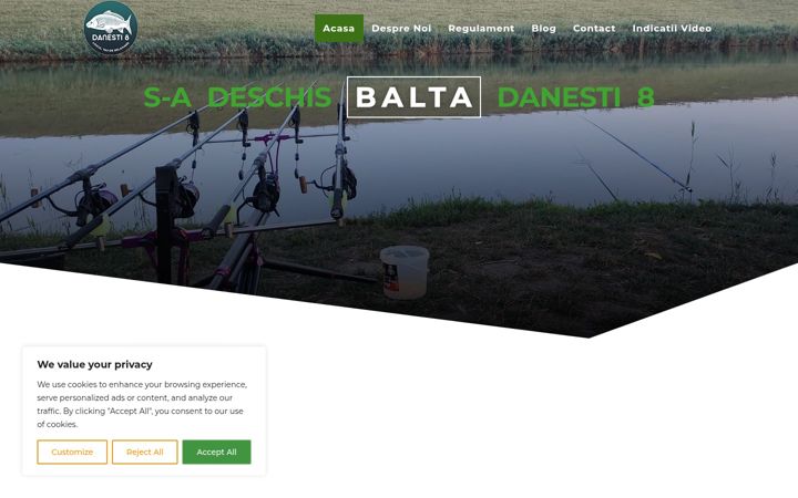 Screenshot of baltadanesti8.ro