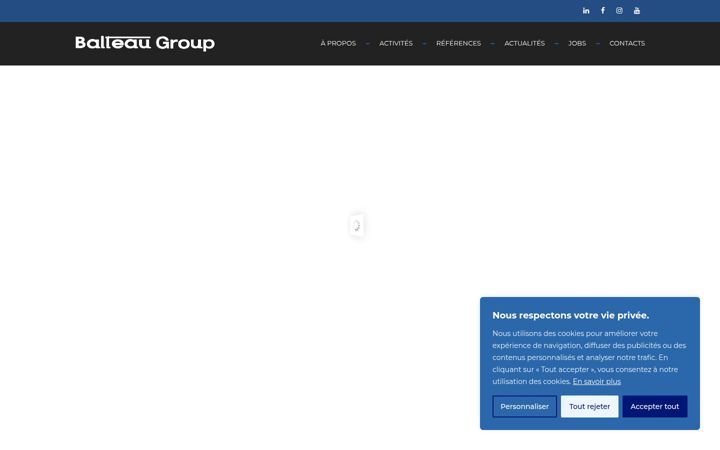 Screenshot of balteaugroup.eu