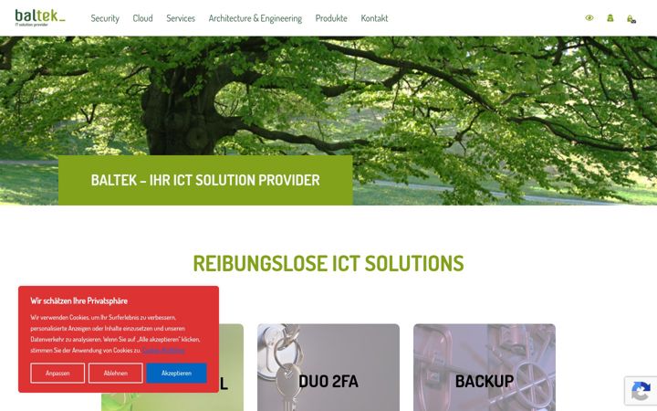 Screenshot of baltek.ch