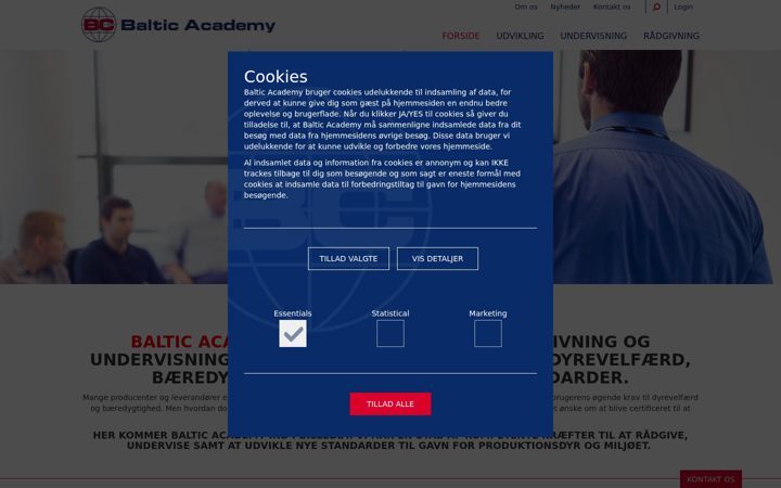 Screenshot of balticacademy.dk