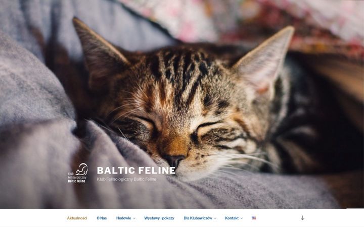 Screenshot of balticfeline.pl
