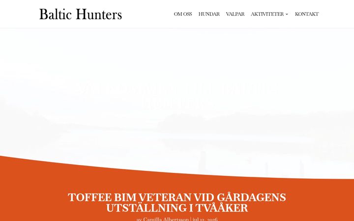 Screenshot of baltichunters.se