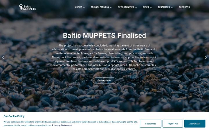 Screenshot of balticmuppets.eu