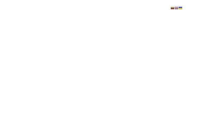 Screenshot of balticumtranslations.lt