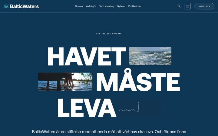 Screenshot of balticwaters.org