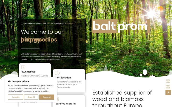 Screenshot of baltprom.lv