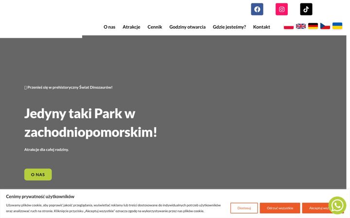 Screenshot ta' baltyckiparkrozrywki.pl
