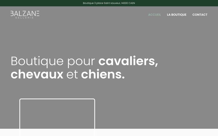 Ekraanipilt saidist balzane-sellerie.fr