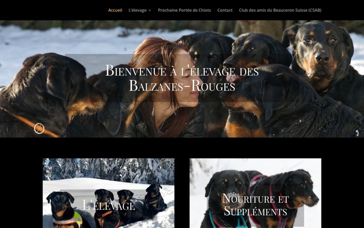 Screenshot of balzanes-rouges.ch