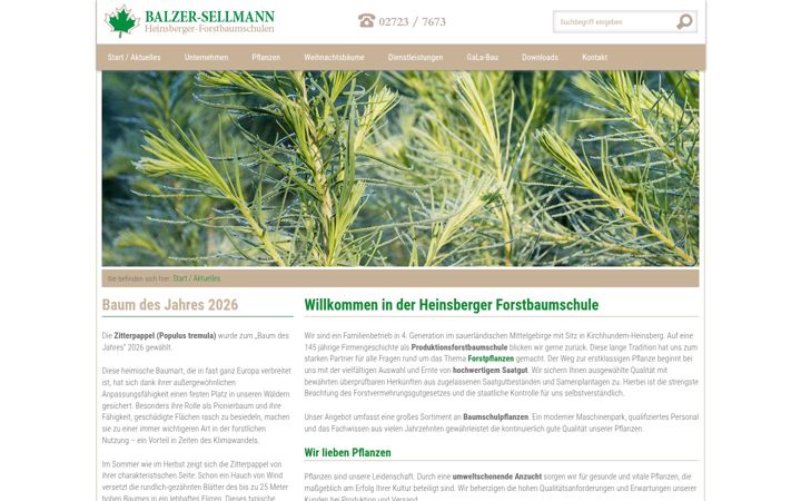 Screenshot of balzer-sellmann.de