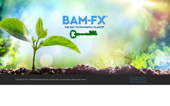 Screenshot of bam-fx.com