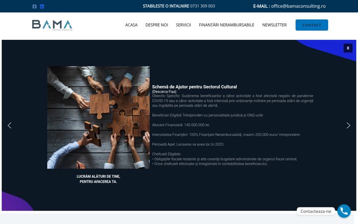 Screenshot of bamaconsulting.ro