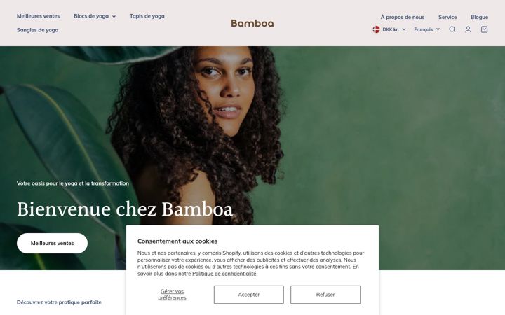 Screenshot of bamboa.fr