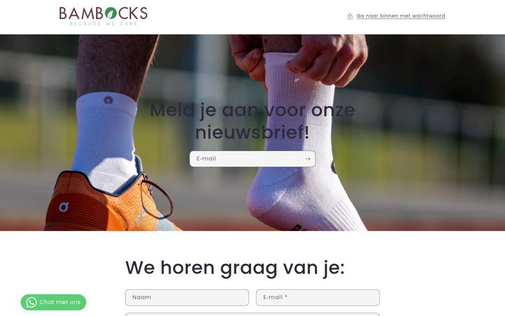 Screenshot of bambocks.nl