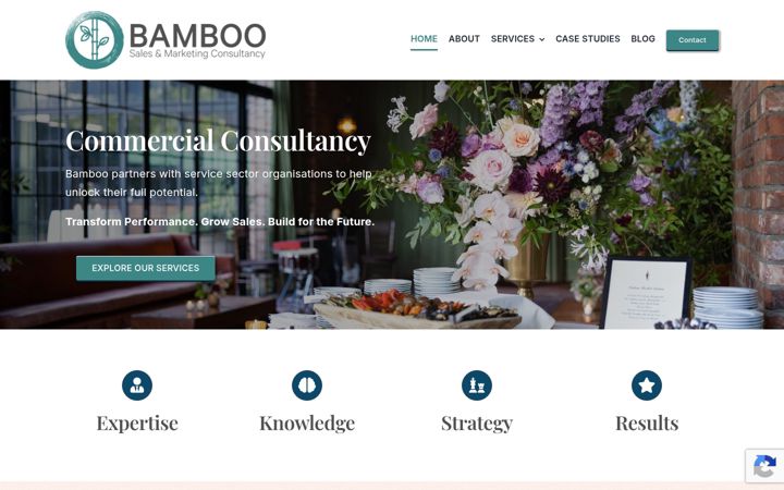 Screenshot of bambooconsultancy.com