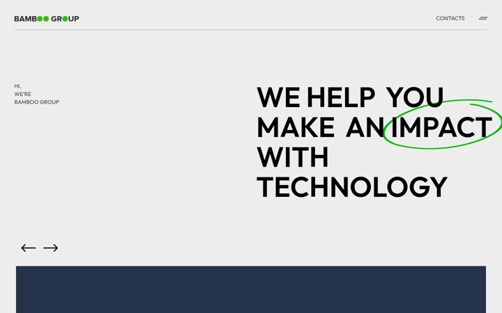 Screenshot of bamboogroup.eu