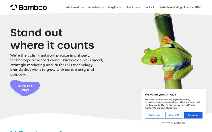 Screenshot of bamboopr.co.uk