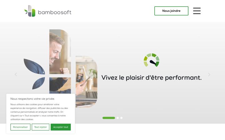 Screenshot of bamboosoft.ca