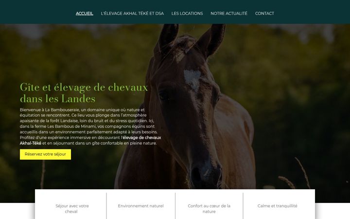 Screenshot of bambous-minami.com