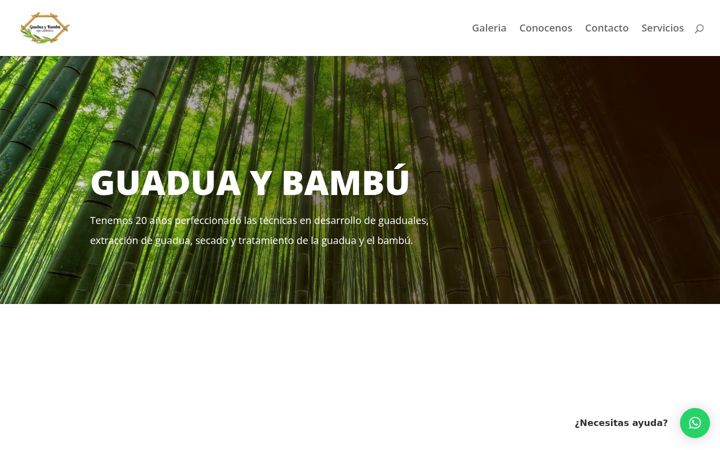 Screenshot of bambuejecafetero.com