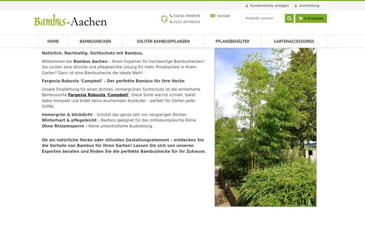 Skjámynd af bambus-aachen.de
