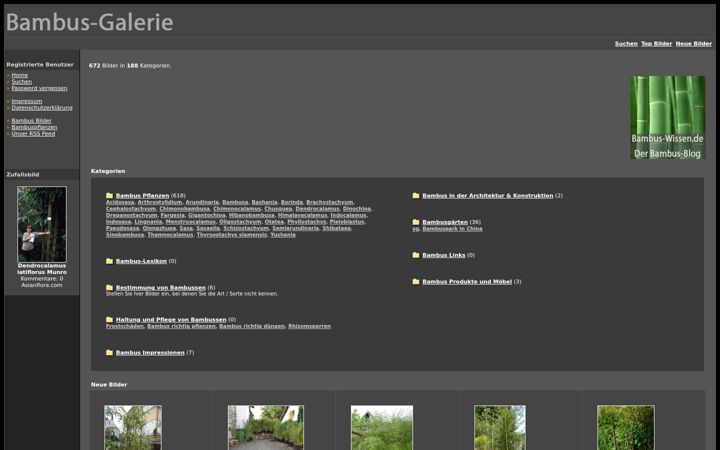 Screenshot of bambus-galerie.de