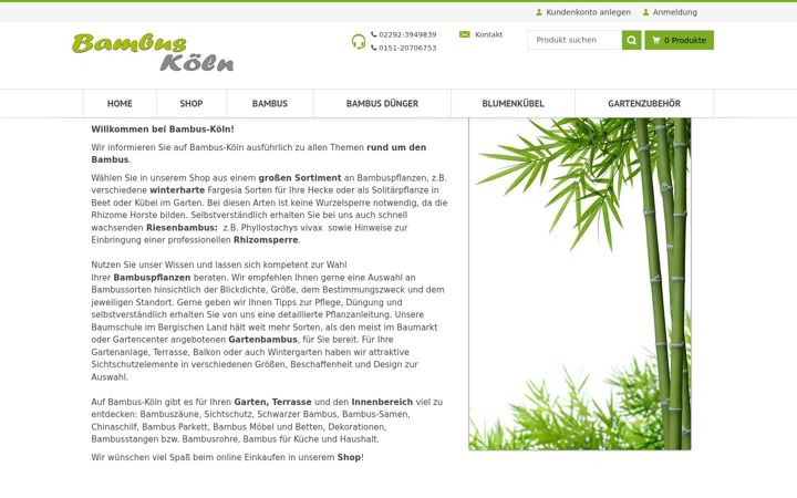 Skjámynd af bambus-koeln.de