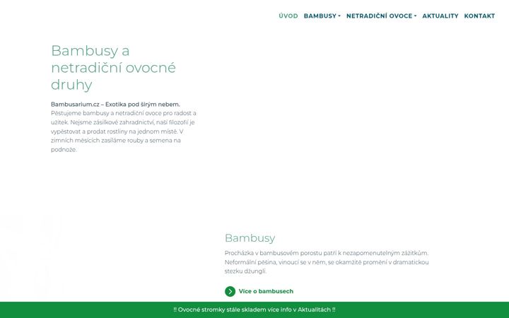 Screenshot of bambusarium.cz