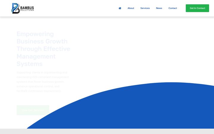 Screenshot of bambussolutions.ie