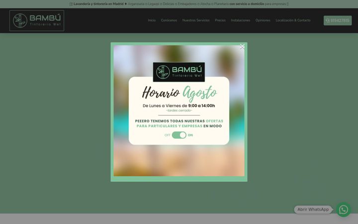 Screenshot of bambutintoreria.com